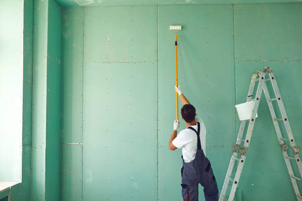 Teays Valley, WV Mold Removal Company
