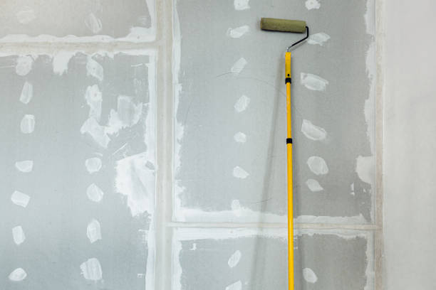 Best Crawl Space Mold Remediation  in Teays Valley, WV