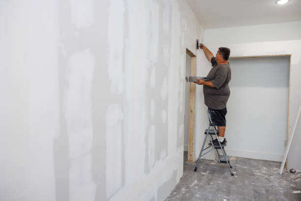 Best Mold Remediation for Rental Properties  in Teays Valley, WV