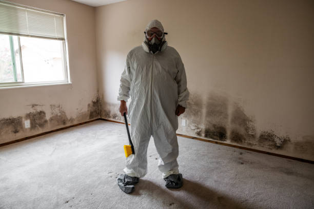 Best Water Damage & Mold Remediation  in Teays Valley, WV